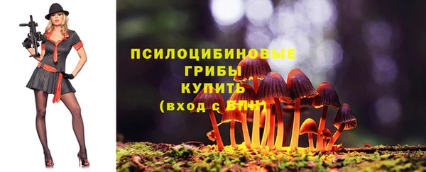 молекула духа Гусь-Хрустальный