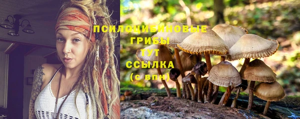 MESCALINE Гусев