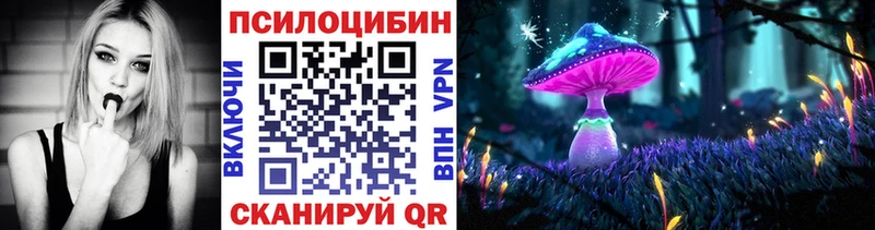 закладка  Ленск  Псилоцибиновые грибы Magic Shrooms 