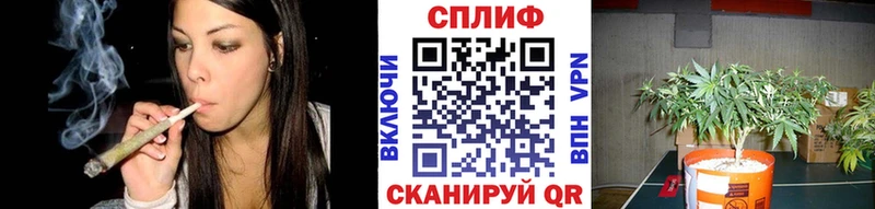 Бошки Шишки THC 21%  Ленск 